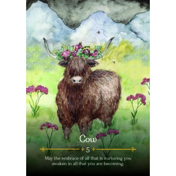 Seasons Of The Witch Beltane Oracle kortos Rockpool